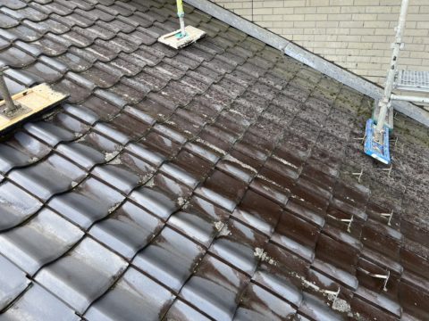 栃木県　某ゴルフ場のクラブハウス　屋根洗浄